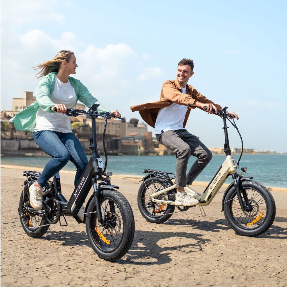 ENGWE L20 3.0 BOOST 250W  648WH Foldable E-bike All-terrain 7/7