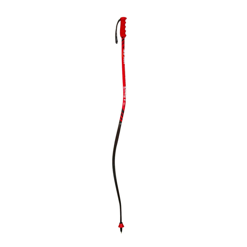 Ski poles Vola Speed