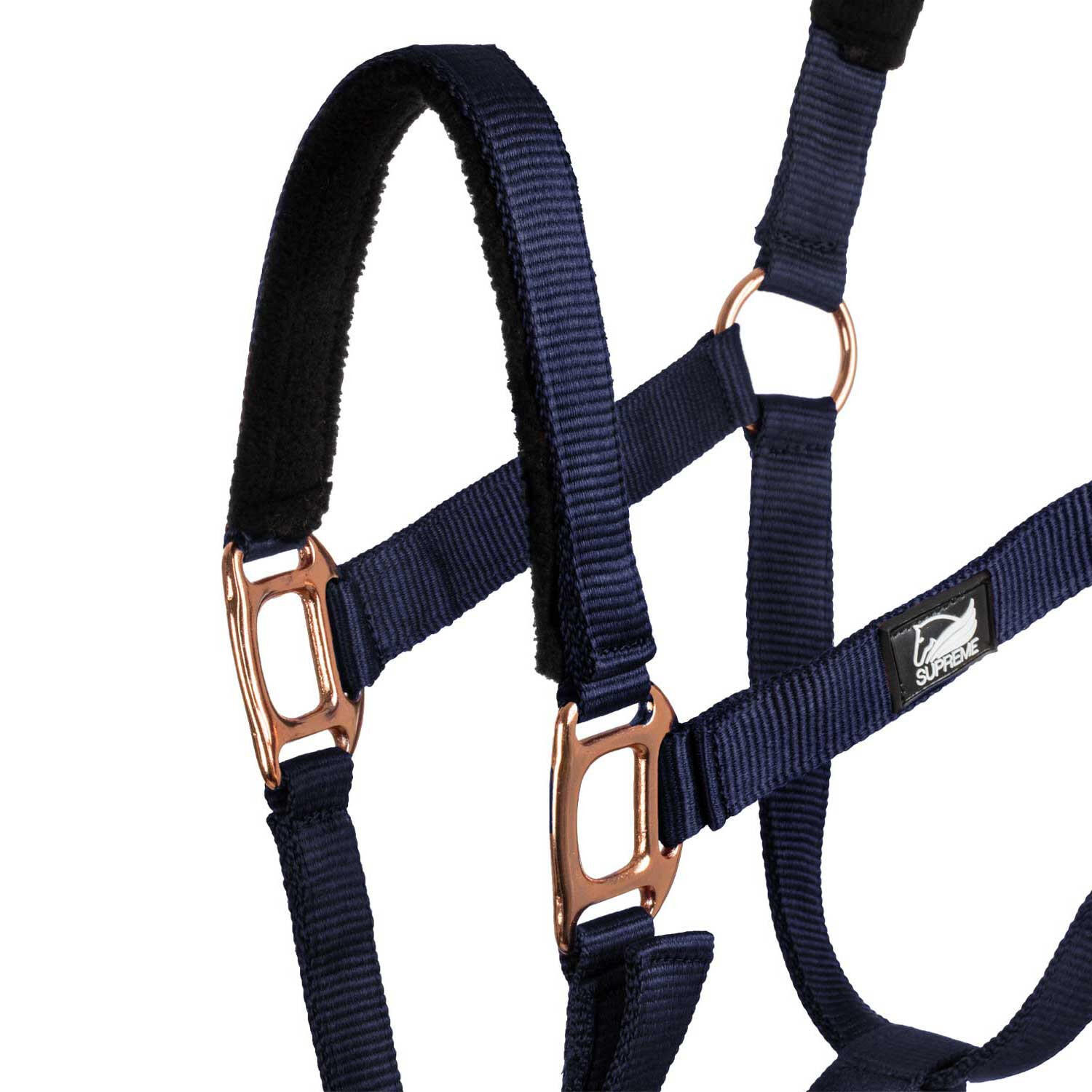 Licol en nylon avec double néoprène et longe 3/5