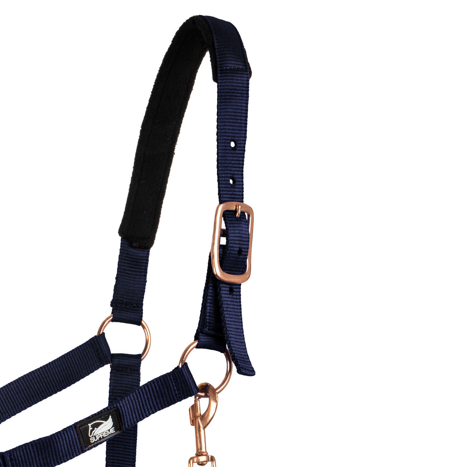 Licol en nylon avec double néoprène et longe 2/5