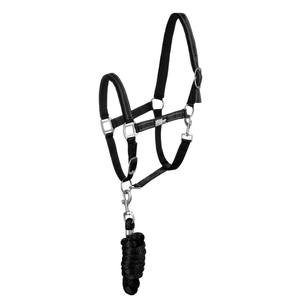 Nylon halter with lead rope
