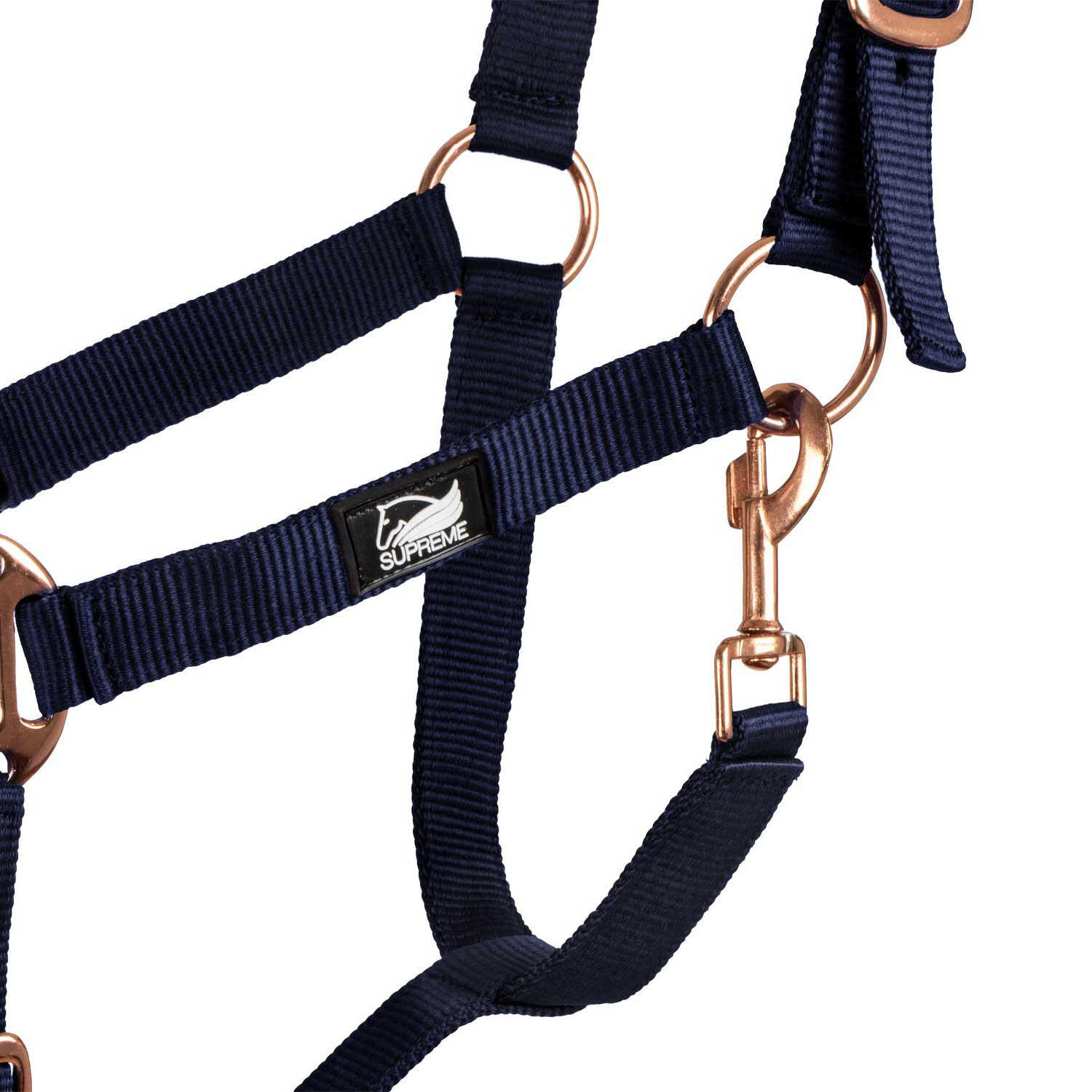 Licol en nylon avec double néoprène et longe 5/5