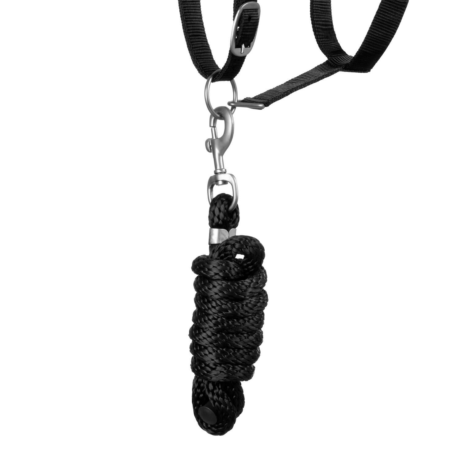 Nylon halster met leidkoord 5/5