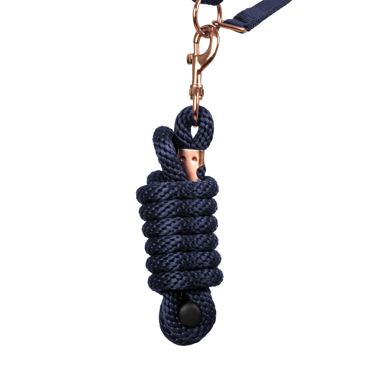 Licol en nylon avec double néoprène et longe 4/5
