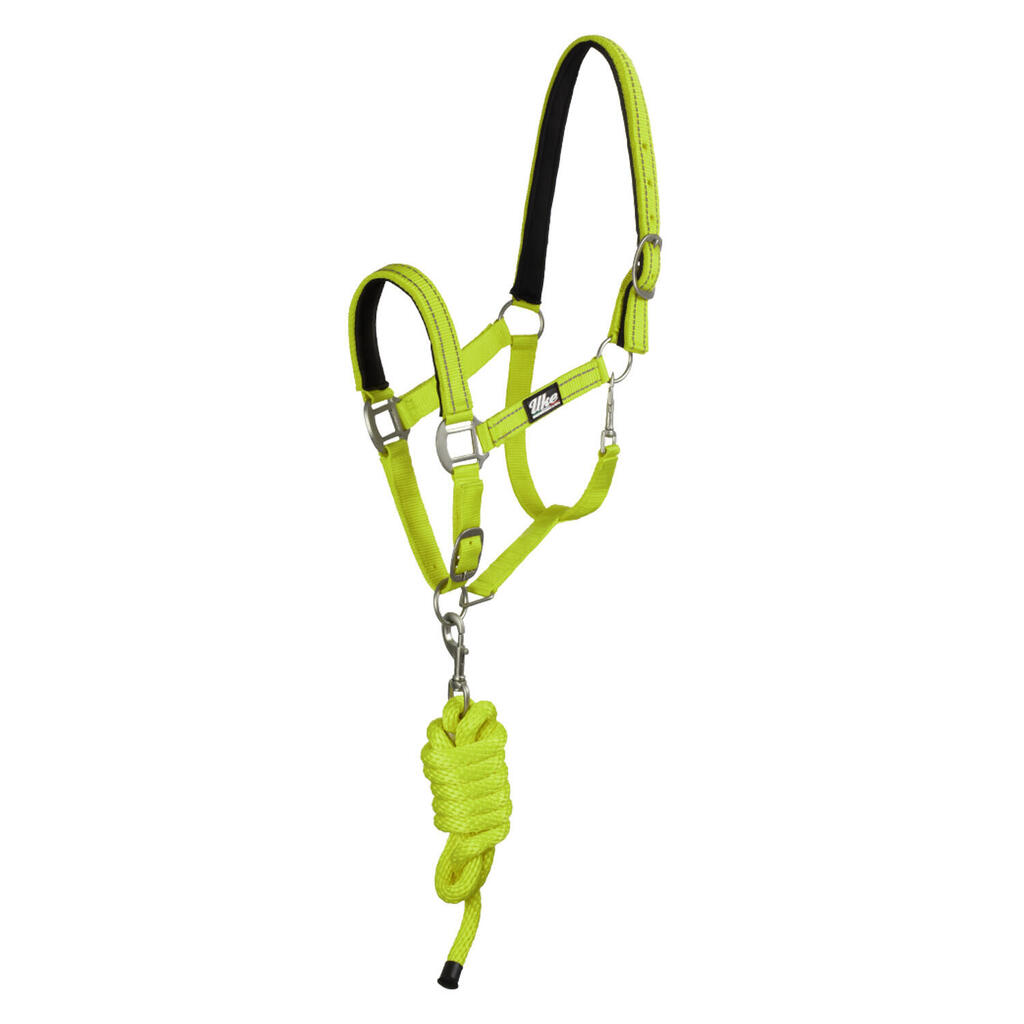 Nylon halter with lead rope