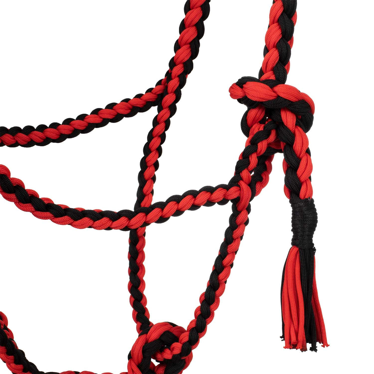 Cabestro de nailon trenzado 2/5