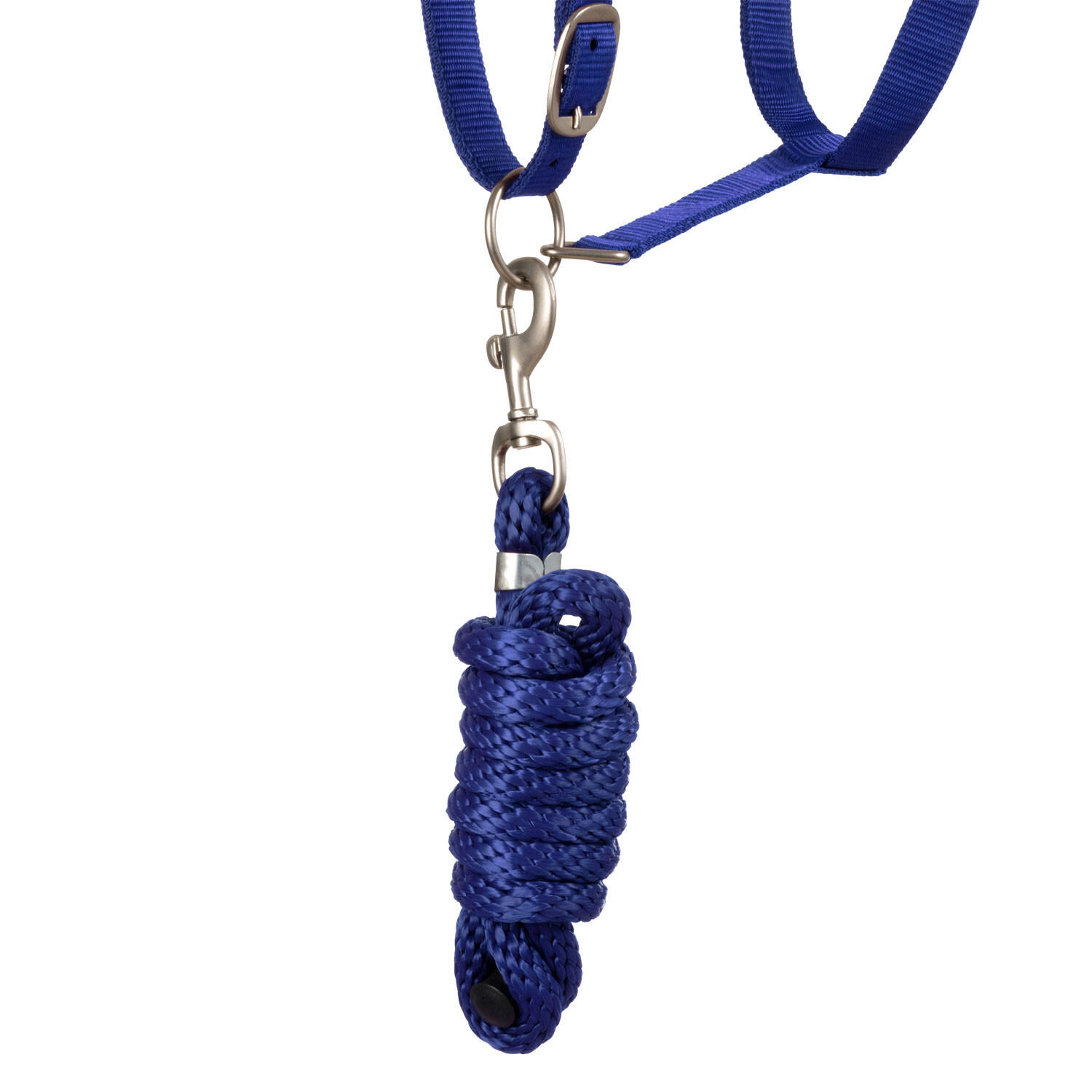 Licol en nylon avec longe 5/5