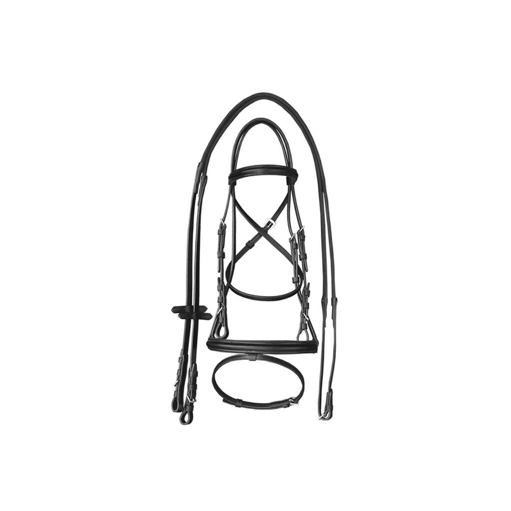 Headstall with raised browband