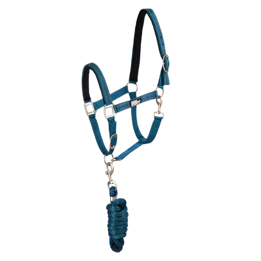 Nylon halter with lead rope