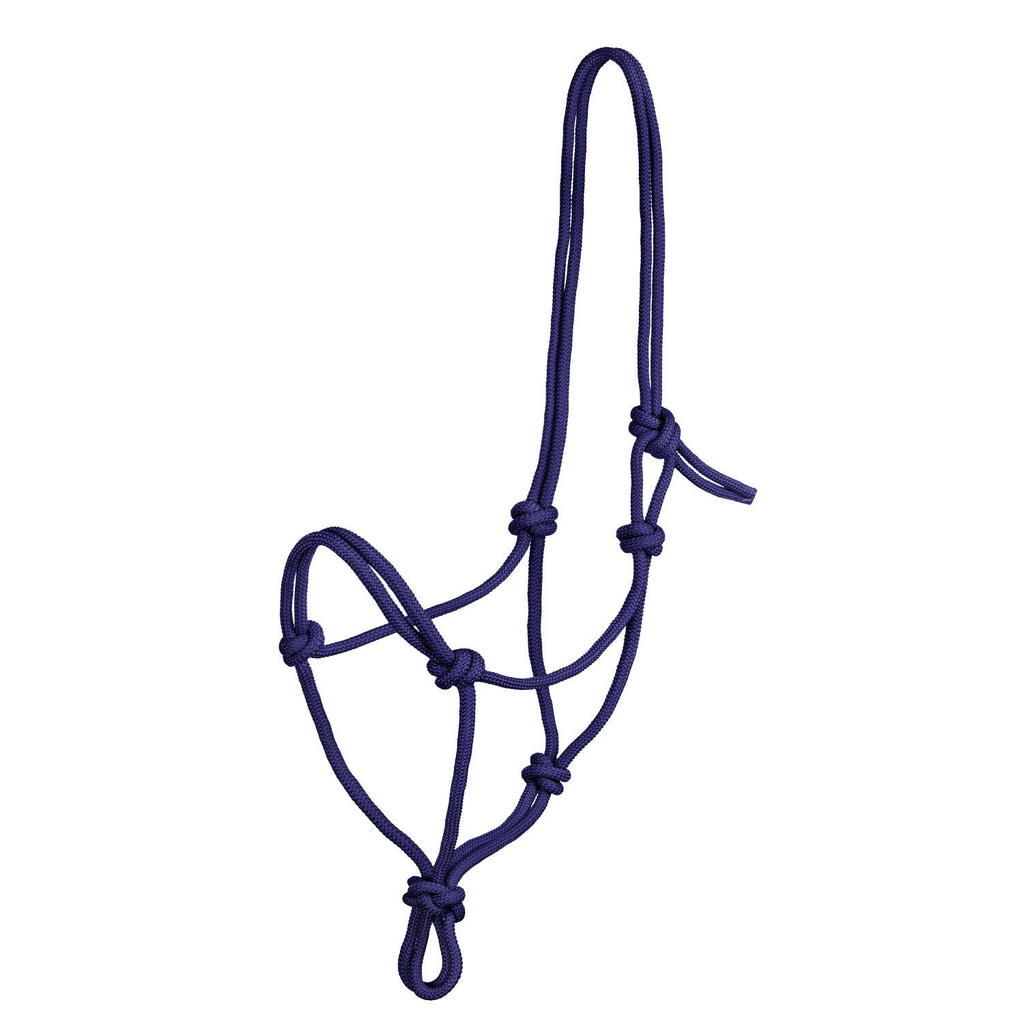 Knotted rope halter