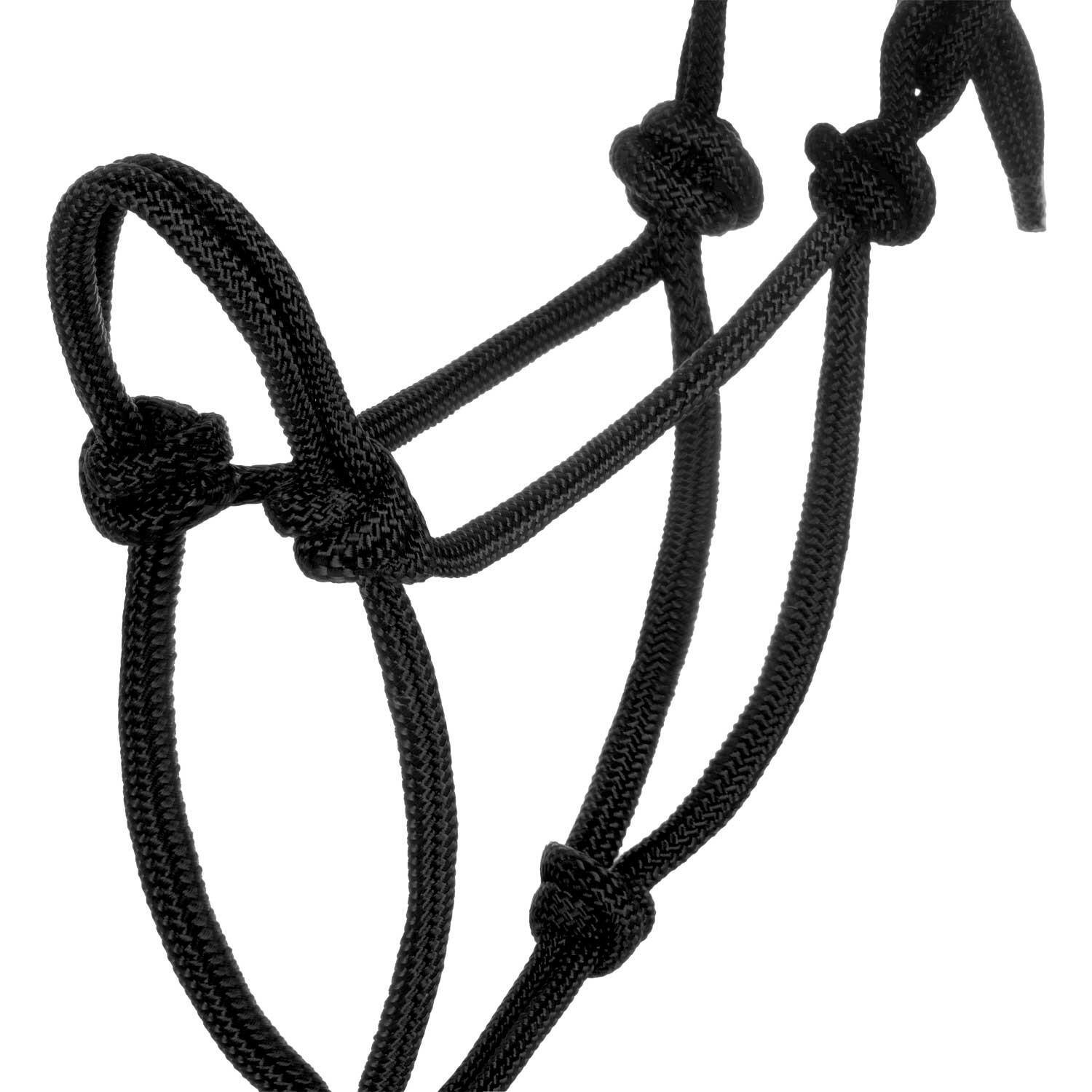 Knotenseilhalfter mit führstrick 3/5