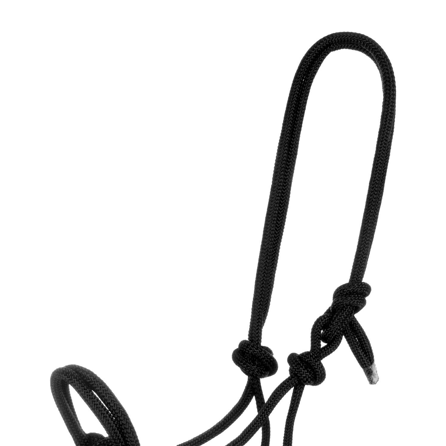 Knotenseilhalfter mit führstrick 2/5