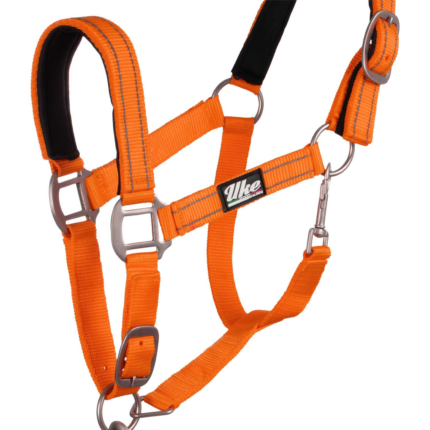 Cabestro de nailon con correa 3/5
