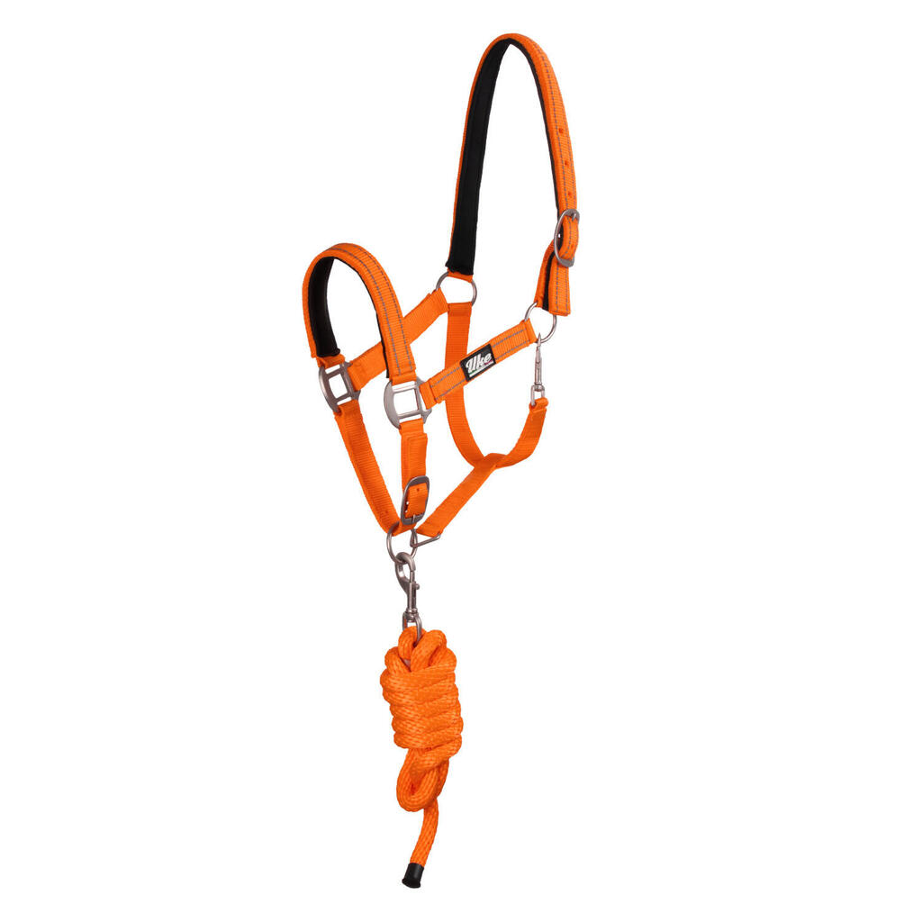 Nylon halter with lead rope