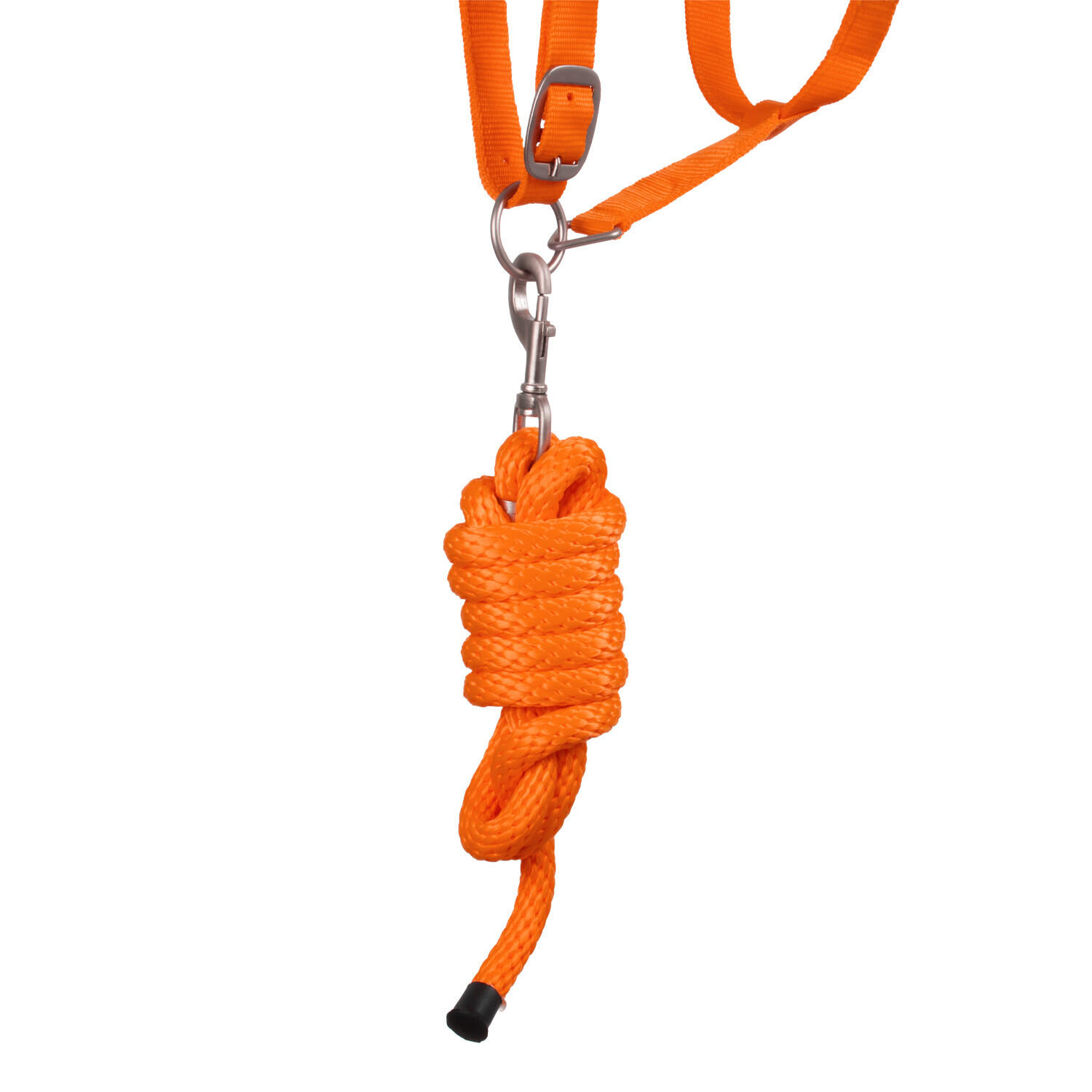 Cabestro de nailon con correa 5/5