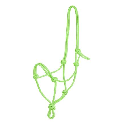 Licol en corde nouée