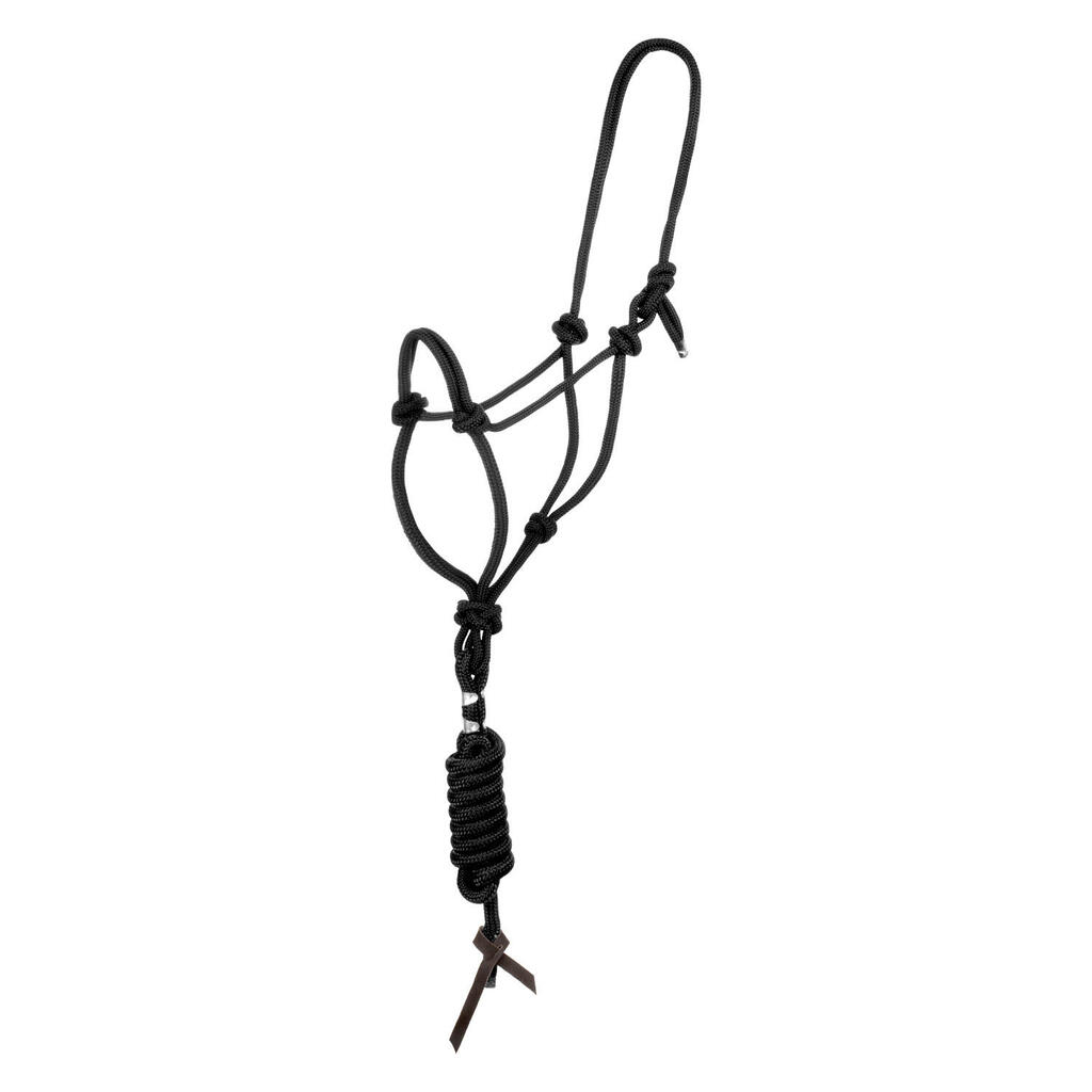 Knotted rope halter with lead