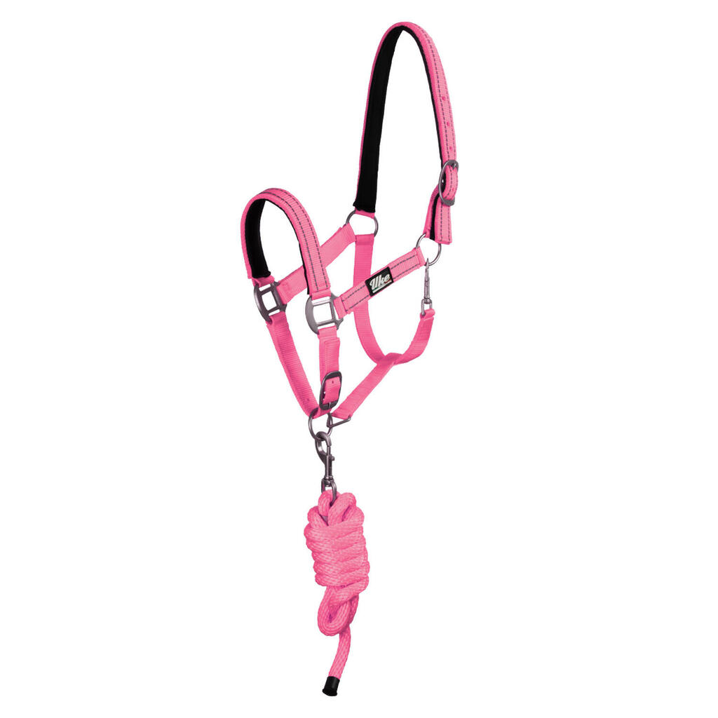 Nylon halter with lead rope