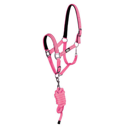 Licol en nylon avec longe