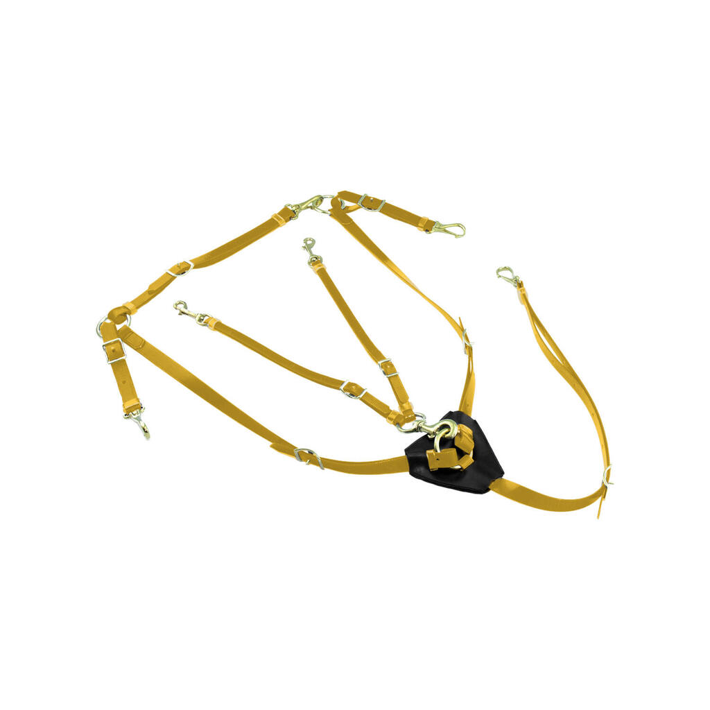 Biothane breastplate with martingale