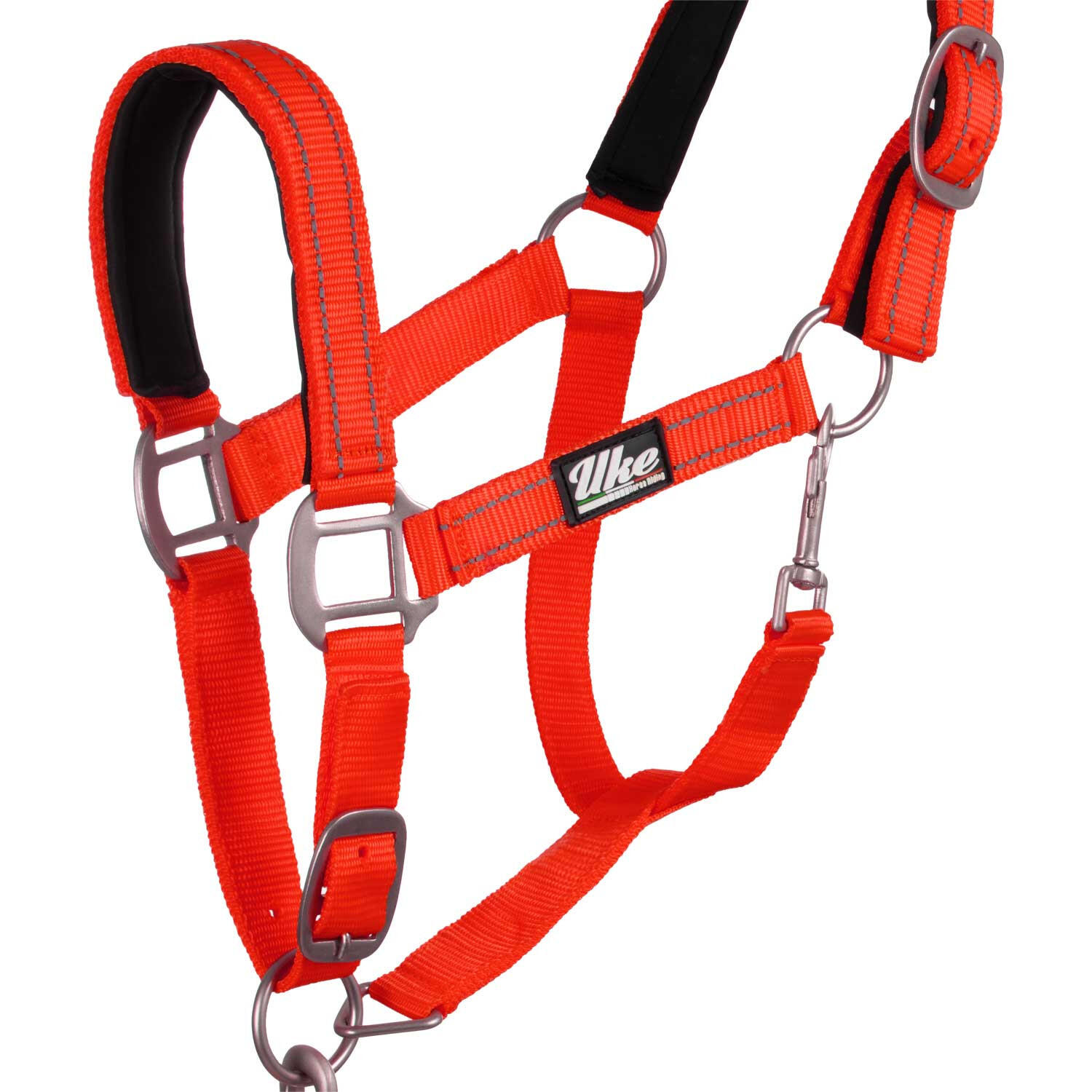 Cabestro de nailon con correa 3/5