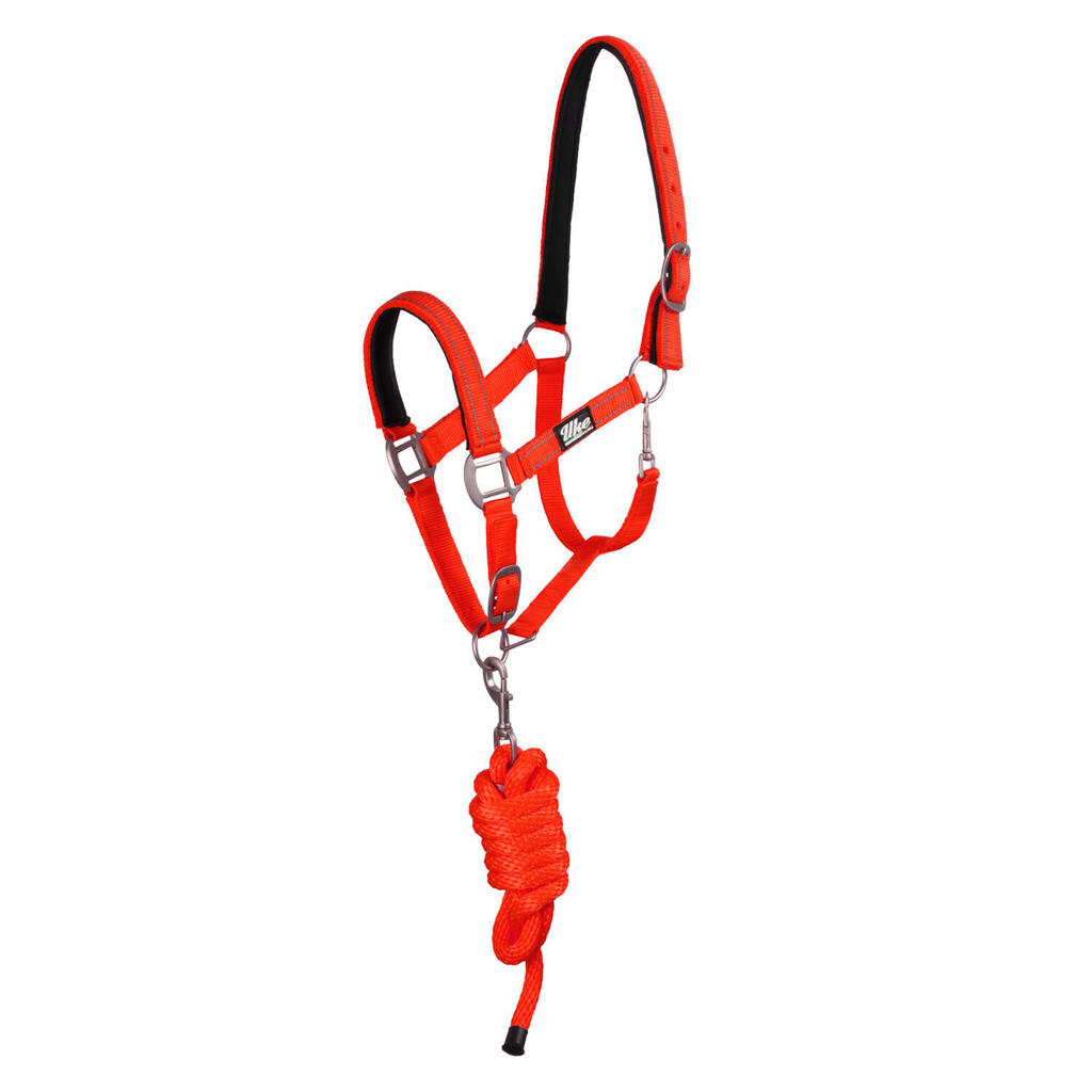 Nylon halter with lead rope