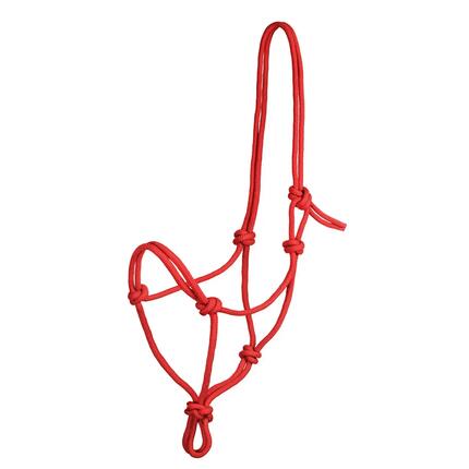 Licol en corde nouée