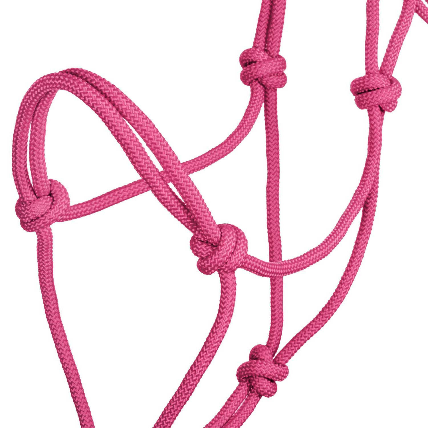 Licol en corde nouée 3/4