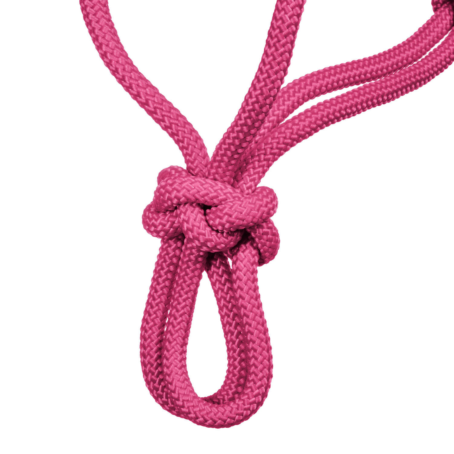 Licol en corde nouée 4/4