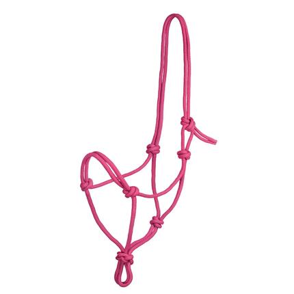 Licol en corde nouée