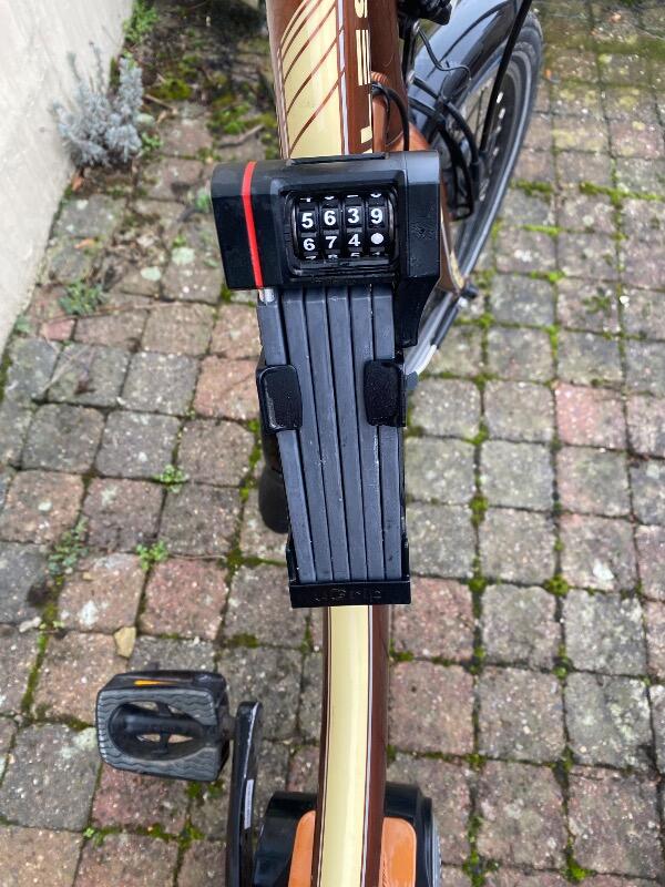 Tussen Particulieren - Bosch Hercules elektrische fiets 3/7