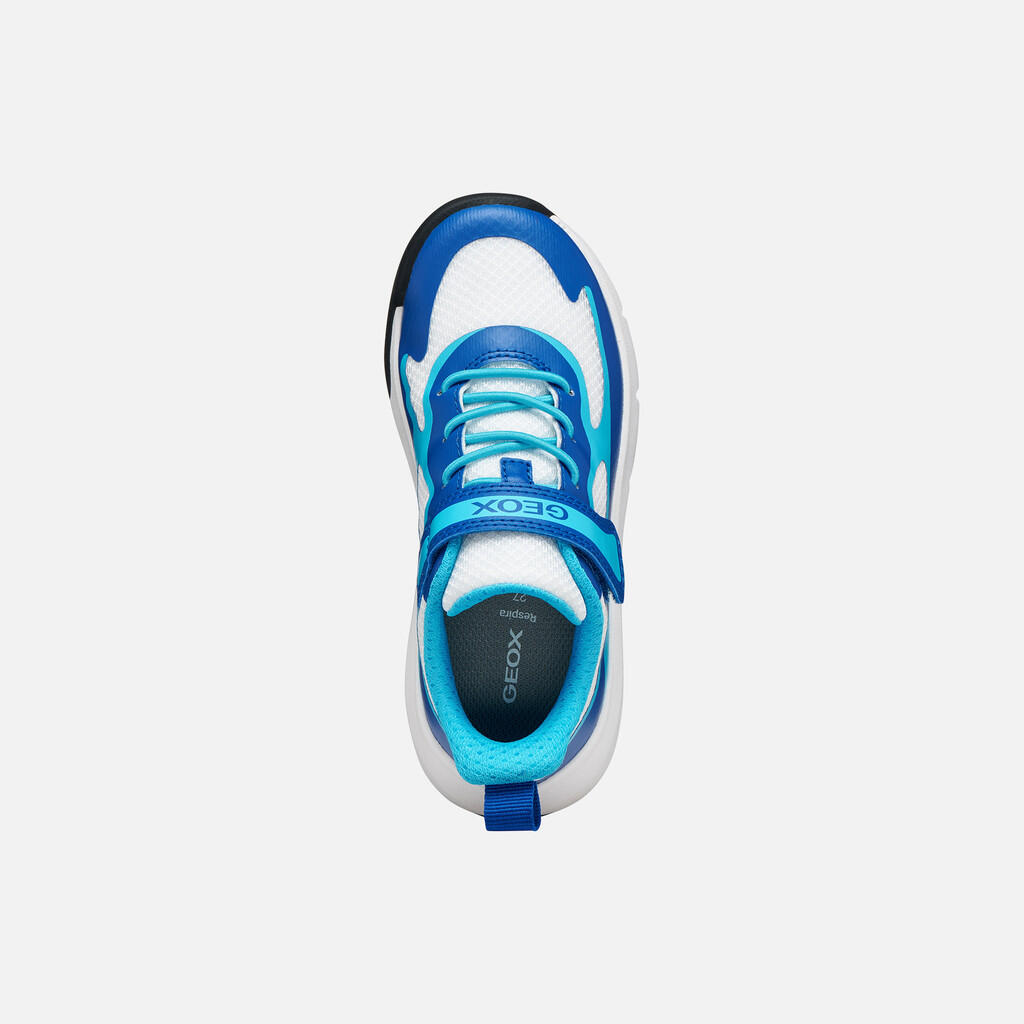 Baskets Garçon PRO-RAN BOY Blanc/Bleu Ciel 6/7