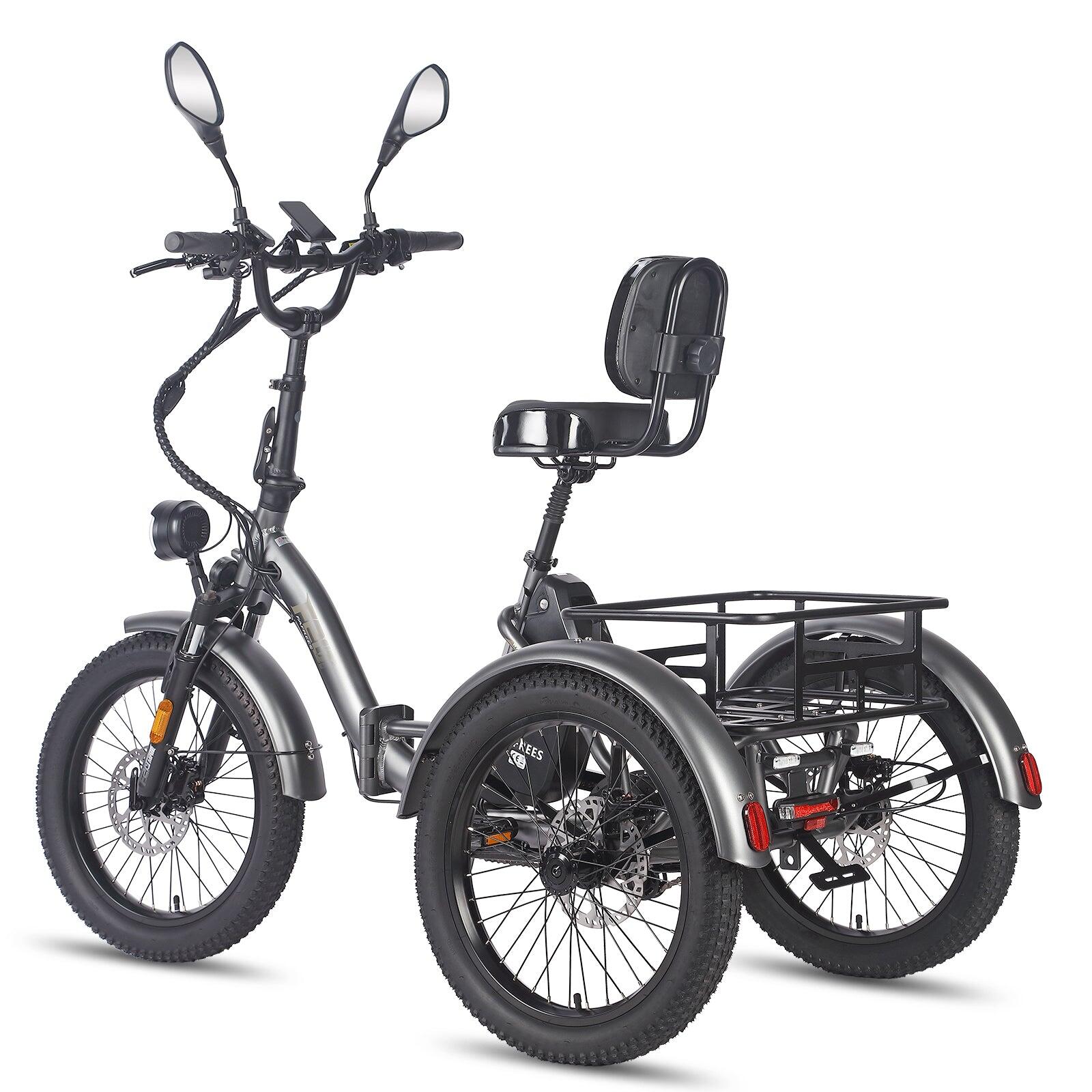 FAFREES F20 Mate Triporteur Électrique 500W 48V23.45AH Gris 5/5