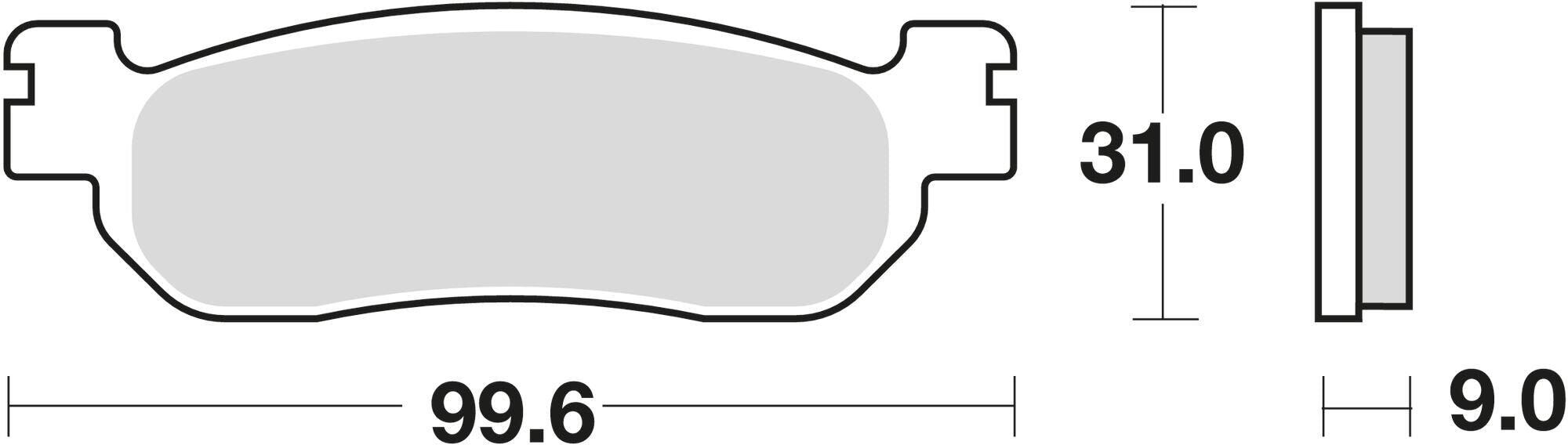 ÉCOLOGIE picture