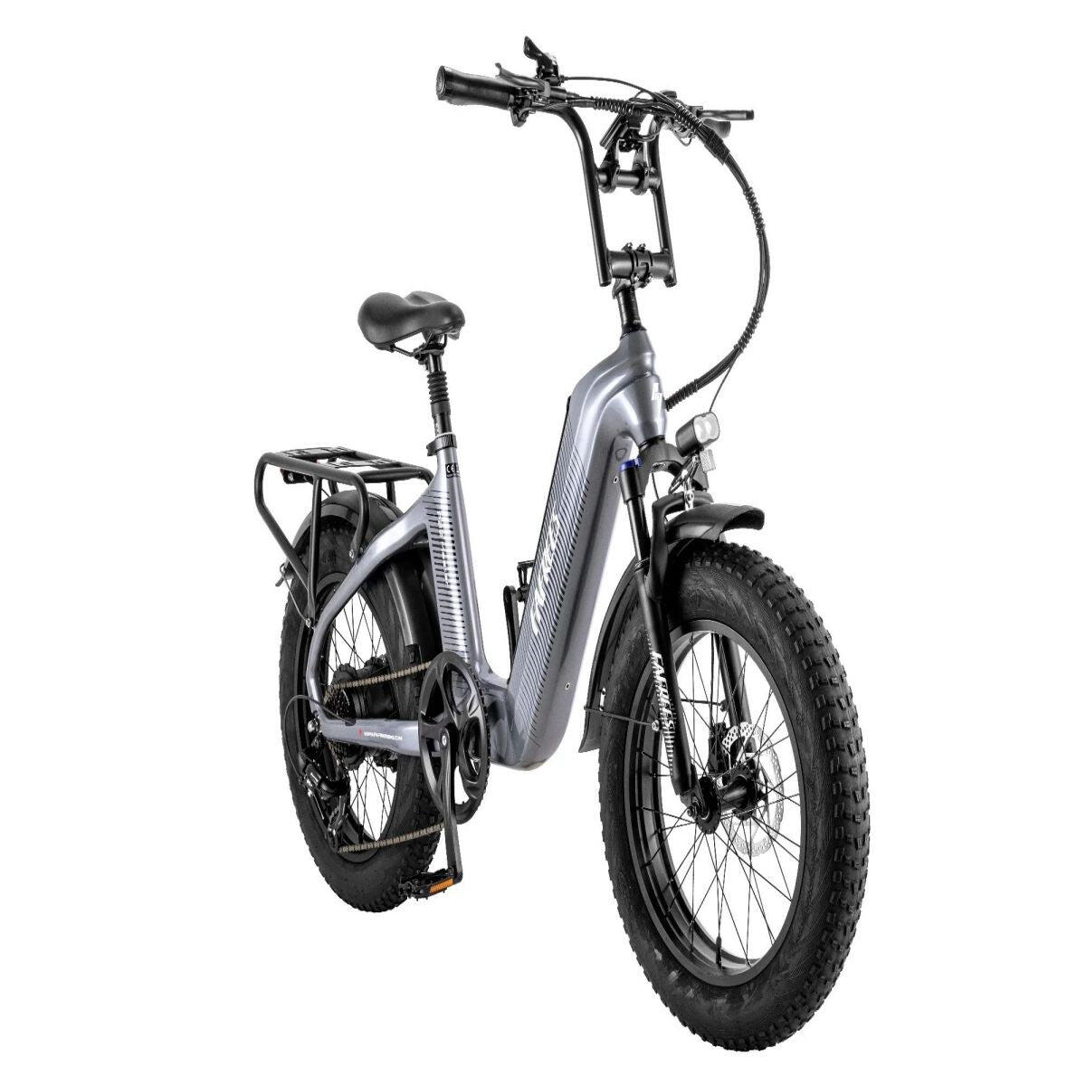 Vélo Électrique FAFREES F20 Master 500W 1080WH Gris bronze 4/5
