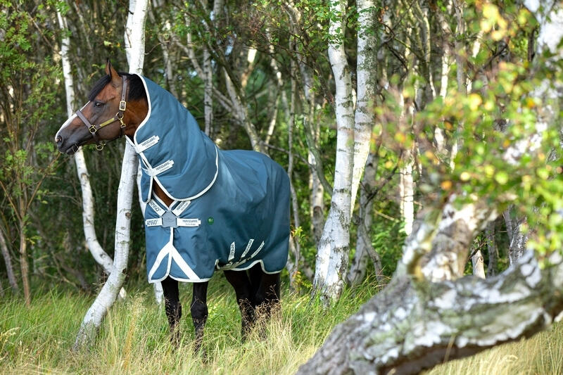 Couverture d'extérieur avec couvre-cou pour cheval Horseware Amigo AmEco 100g 3/4