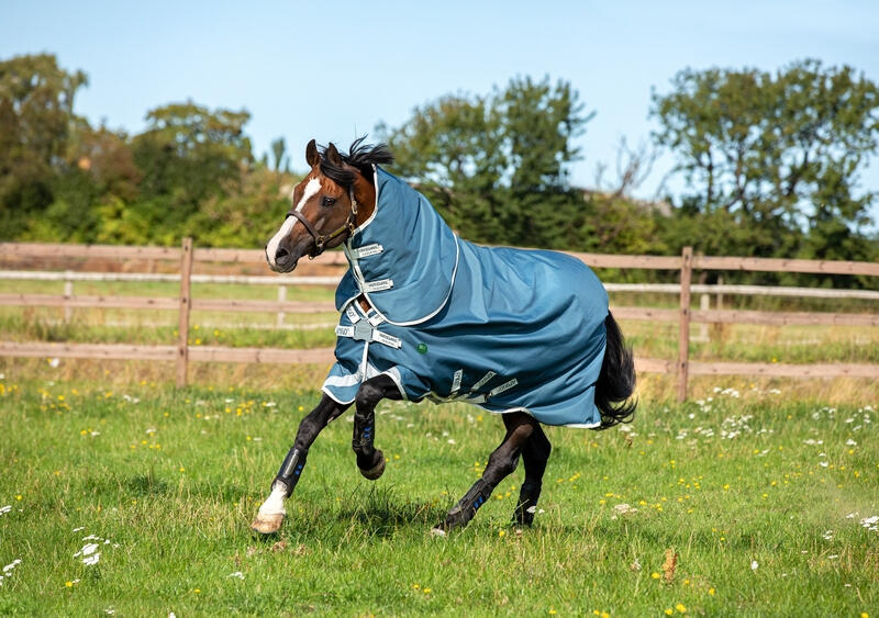 Couverture d'extérieur avec couvre-cou pour cheval Horseware Amigo AmEco 100g 2/4