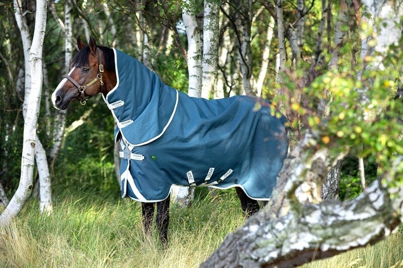 Couverture d'extérieur avec couvre-cou pour cheval Horseware Amigo AmEco 100g 4/4