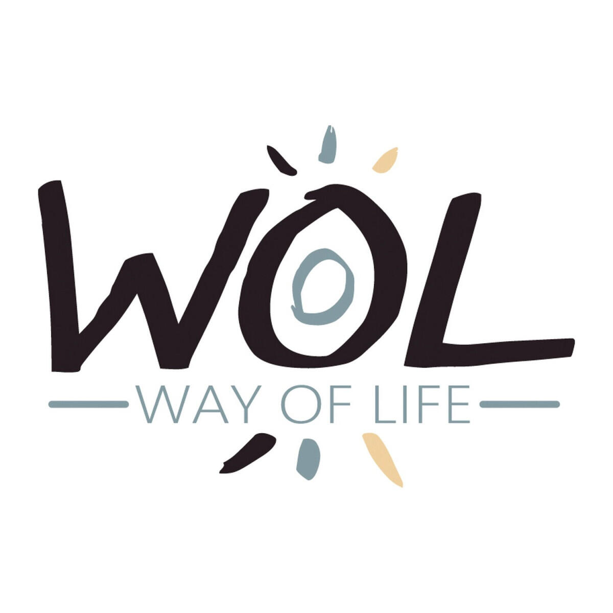 WOL Bouilloire électrique 12 Volts - Camping 3/4