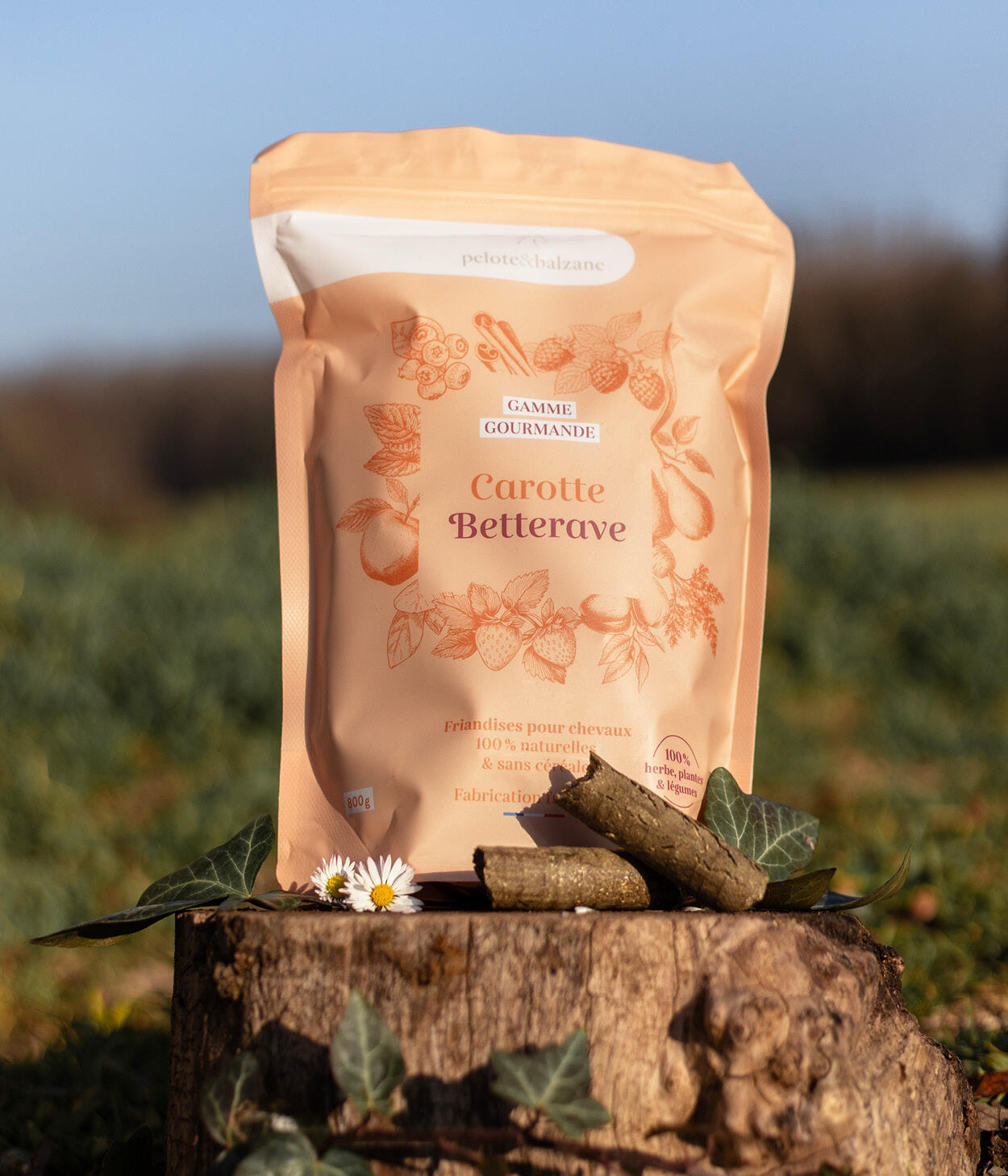 Friandises 100% naturelles chevaux - Carotte / Betterave 1/5