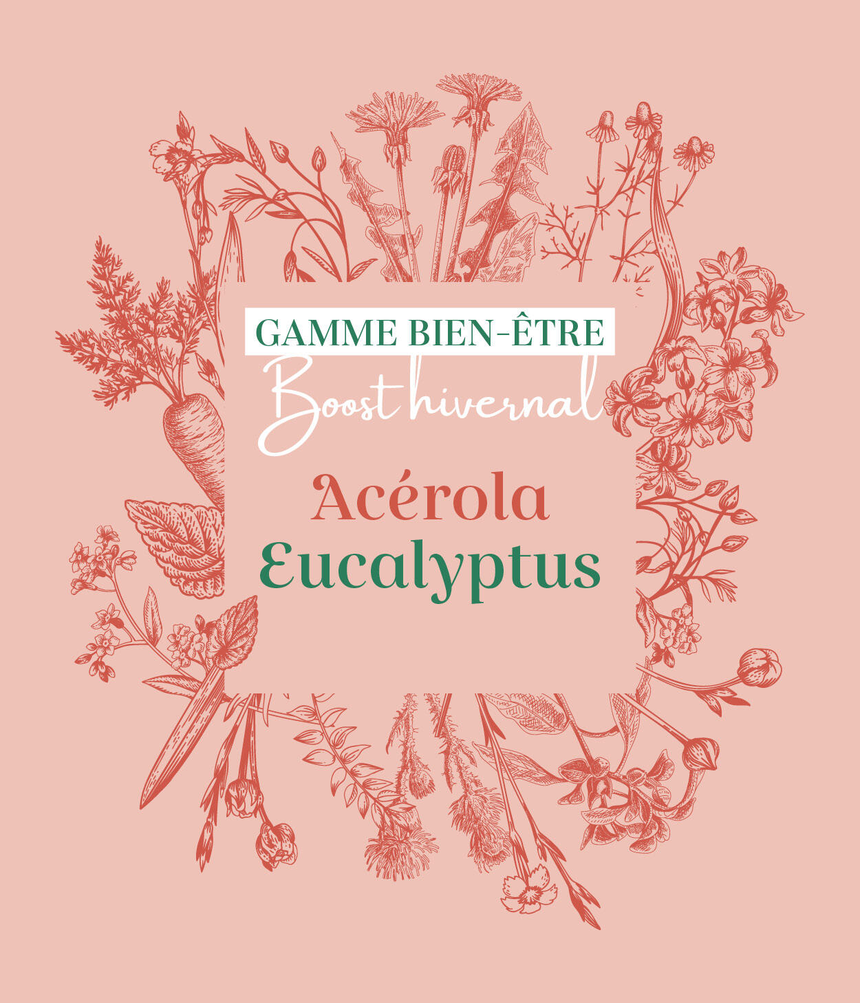 Friandises 100% naturelles chevaux - Boost hivernal (Acérola / Eucalyptus) 3/5