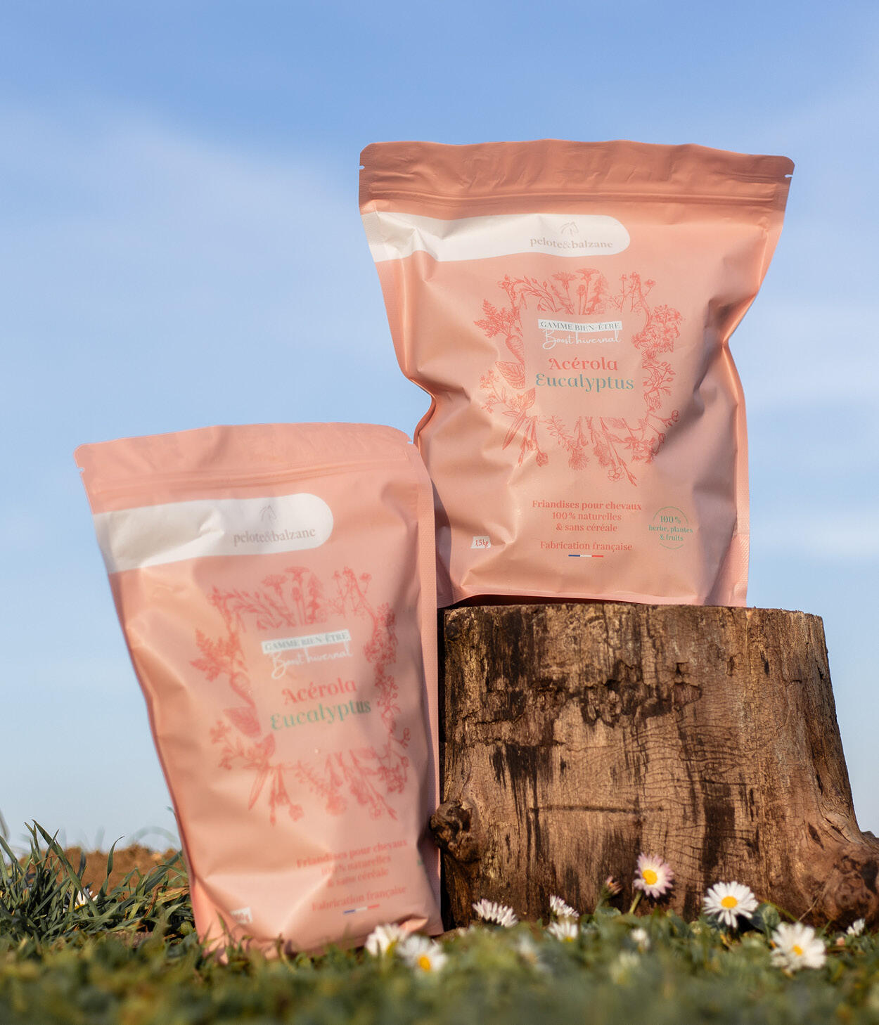 Friandises 100% naturelles chevaux - Boost hivernal (Acérola / Eucalyptus) 2/5