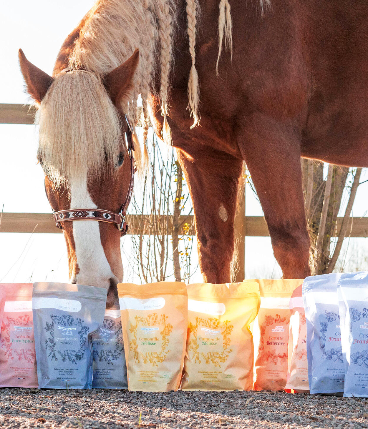 Friandises 100% naturelles chevaux - Détox (Pissenlit / Chardon-Marie) 5/5