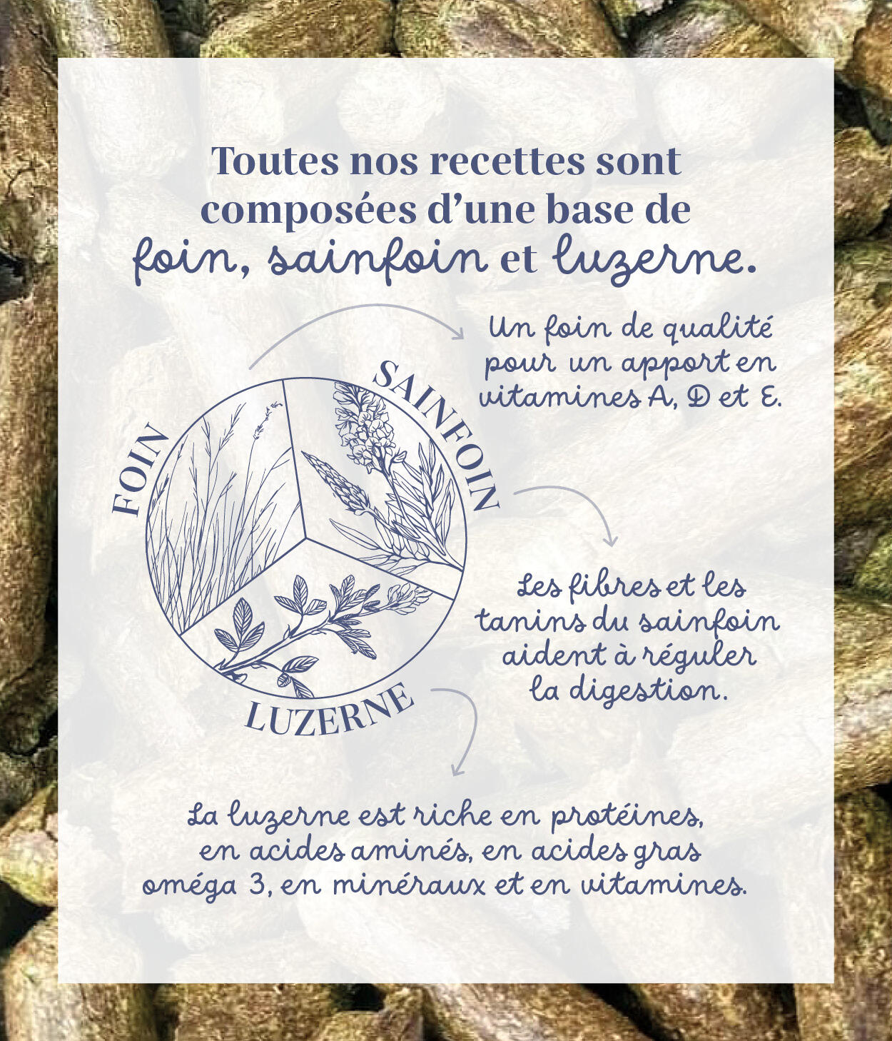 Friandises 100% naturelles chevaux - Cassis / Framboise 4/5