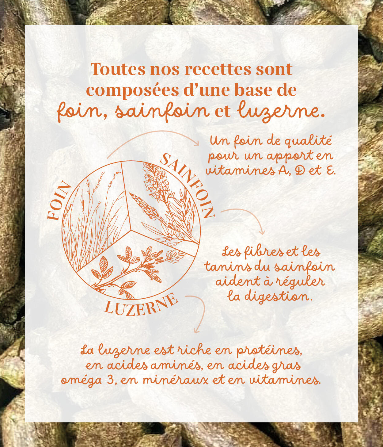Friandises 100% naturelles chevaux - Carotte / Betterave 4/5