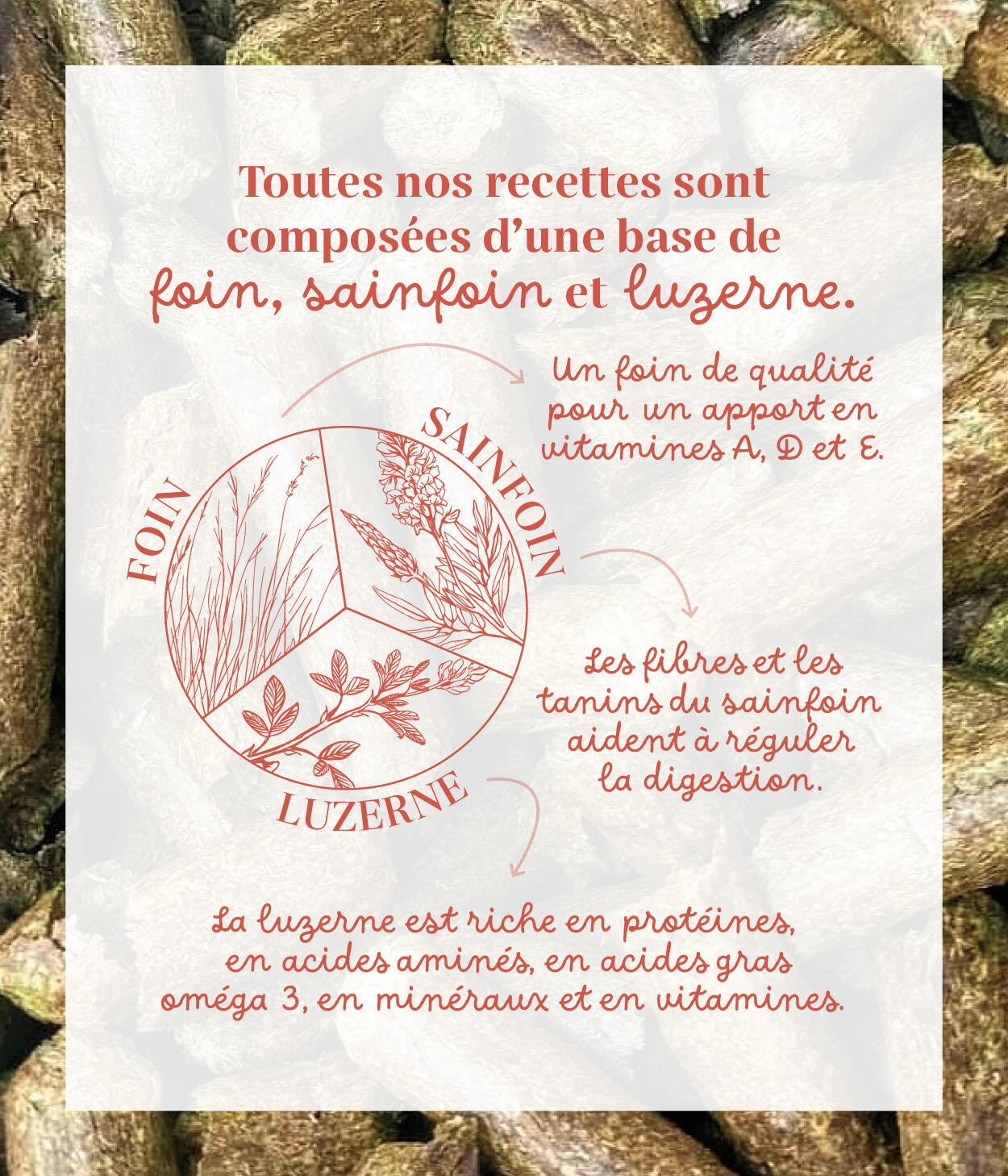 Friandises 100% naturelles chevaux - Boost hivernal (Acérola / Eucalyptus) 4/5