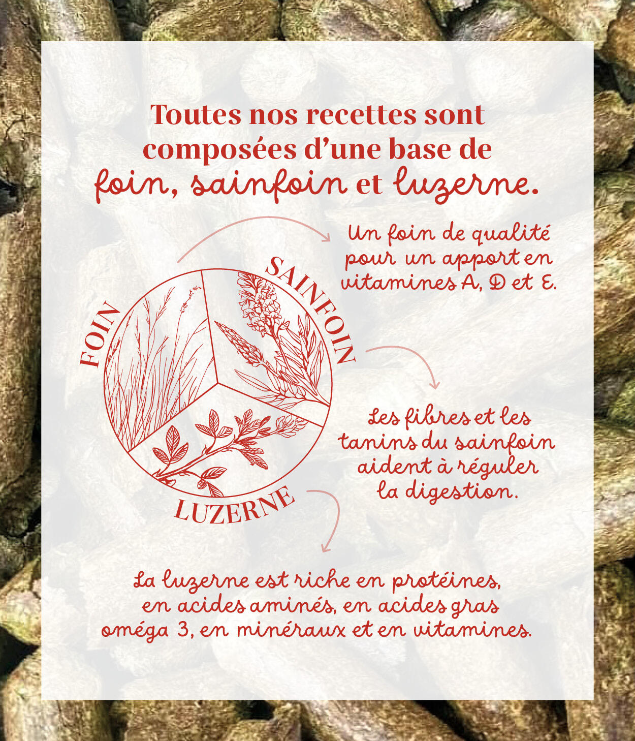 Friandises 100% naturelles chevaux - Fruits rouges / Pomme 4/5