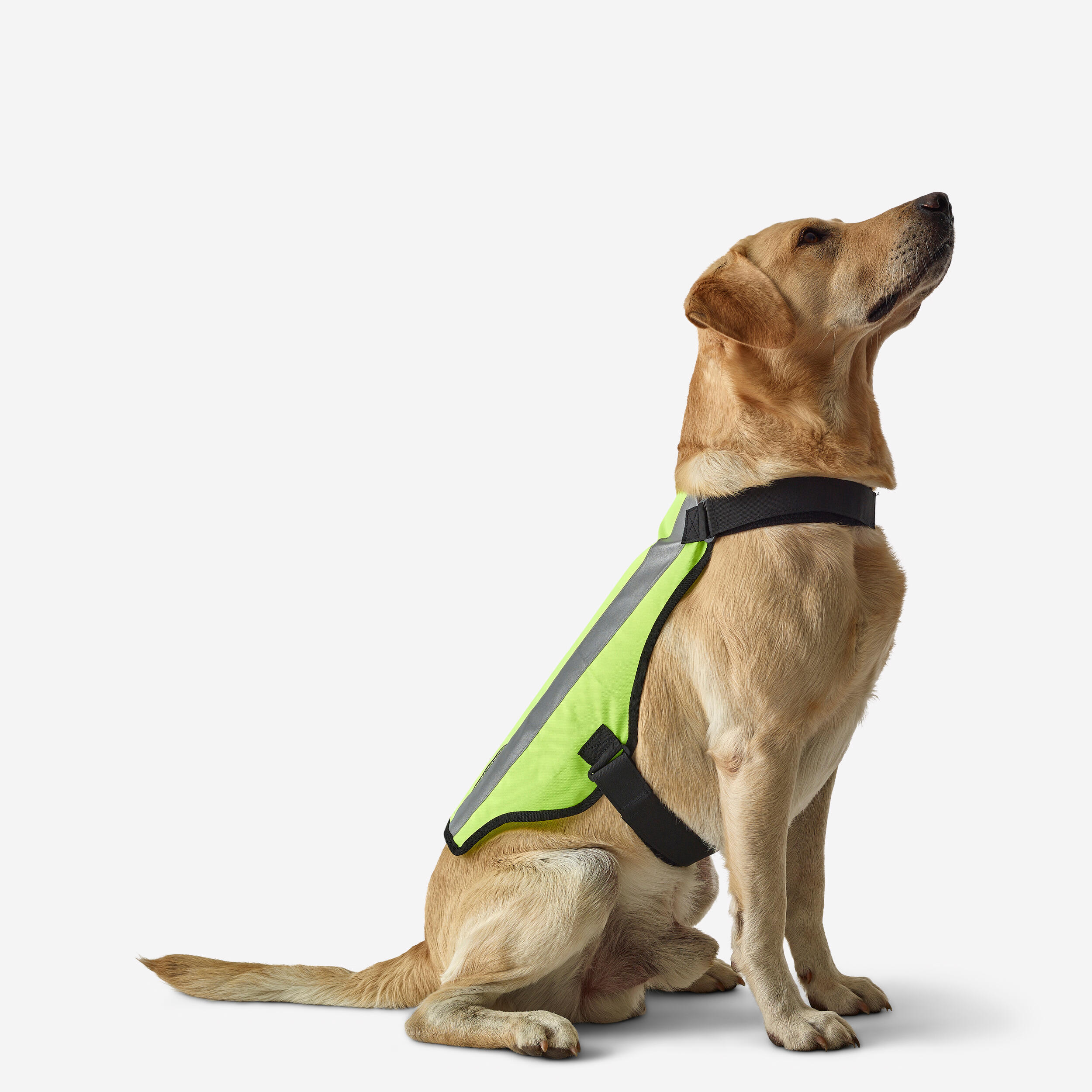 Solognac - Seconde Vie - Gilet Chien Chasse Jaune 100 - Excellent - Gilet De Protection - Incolore - Decathlon