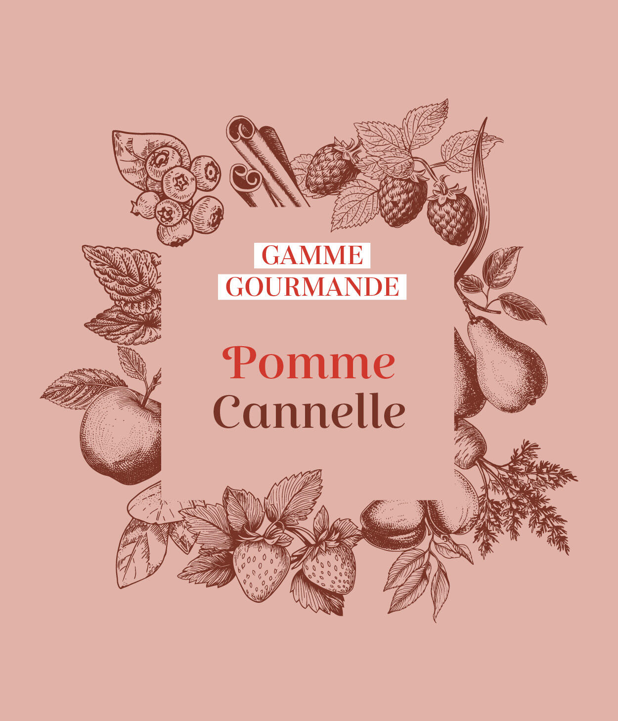 Friandises 100% naturelles chevaux - Pomme / Cannelle 3/5
