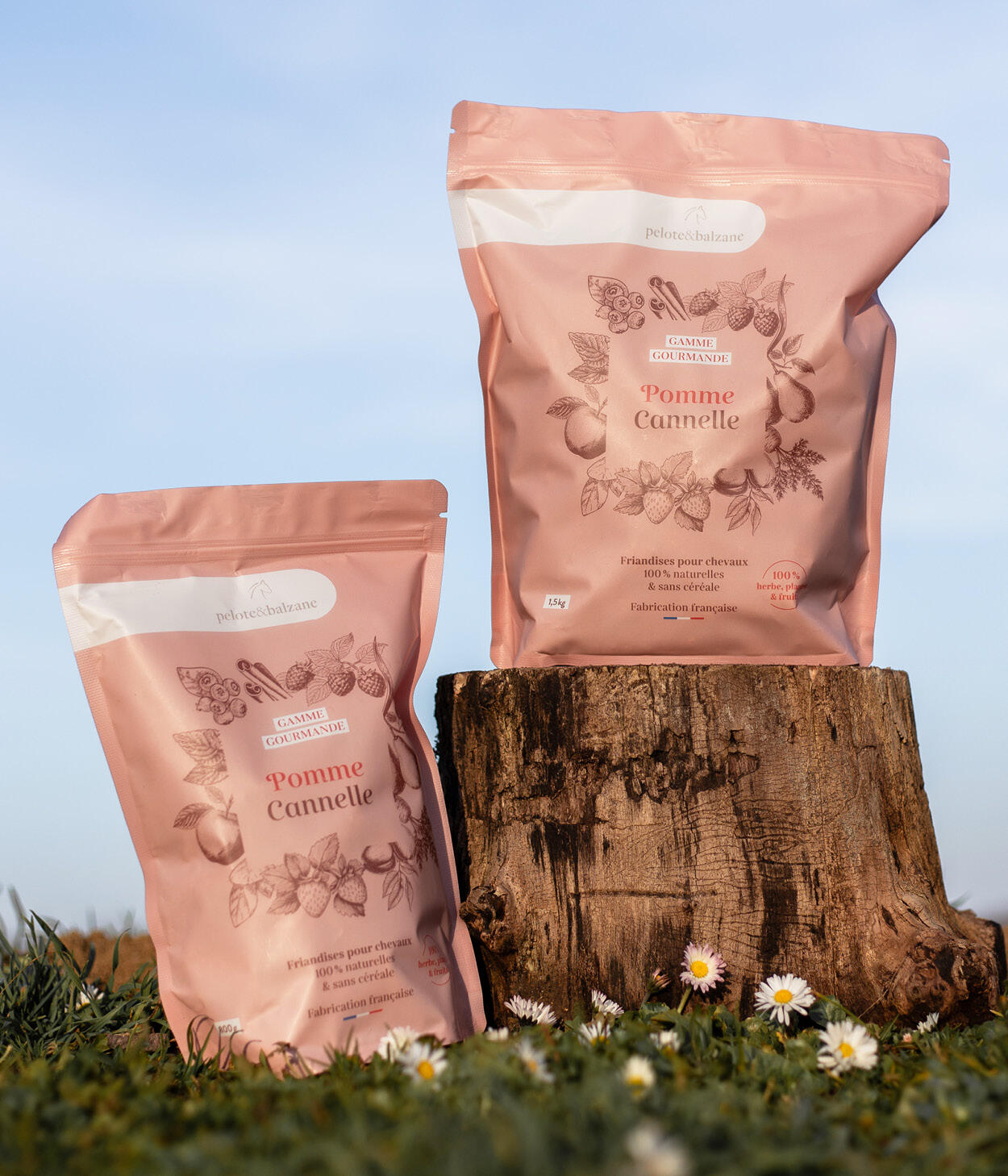 Friandises 100% naturelles chevaux - Pomme / Cannelle 2/5